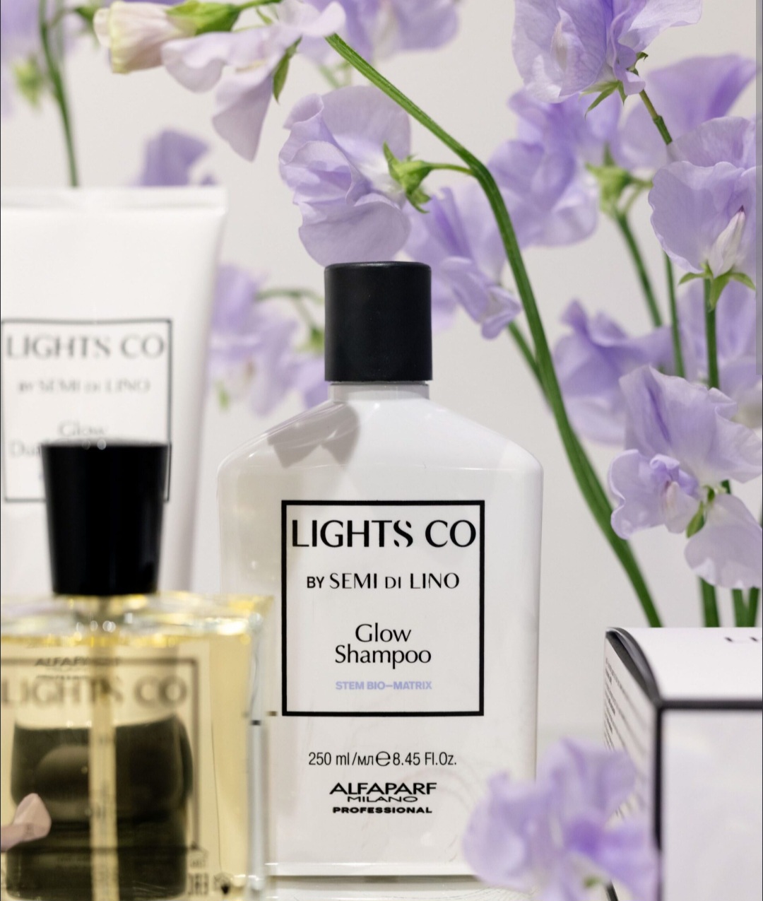 LIGHTS CO